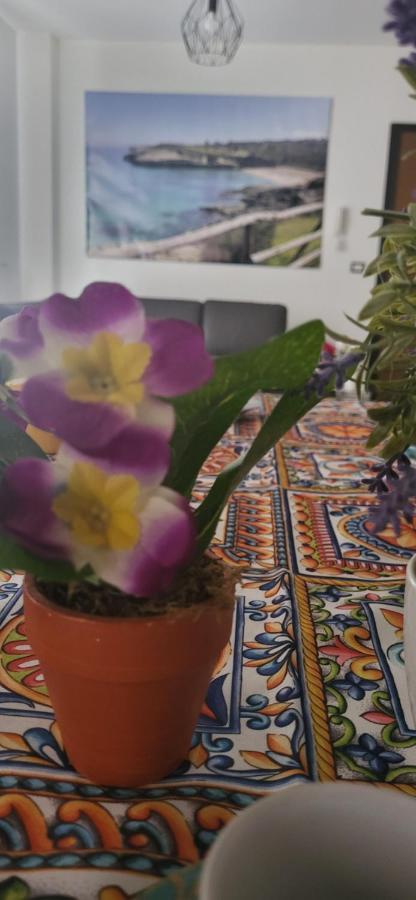 דירות פורטו טורס Bradisc'House מראה חיצוני תמונה